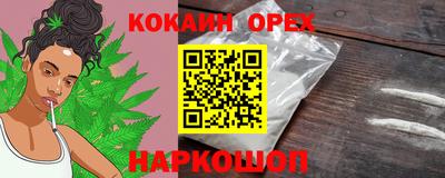 jwh Будённовск