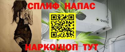 гидра Бузулук