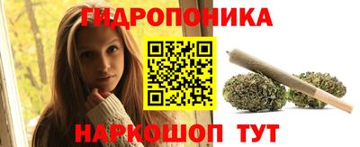 jwh Будённовск