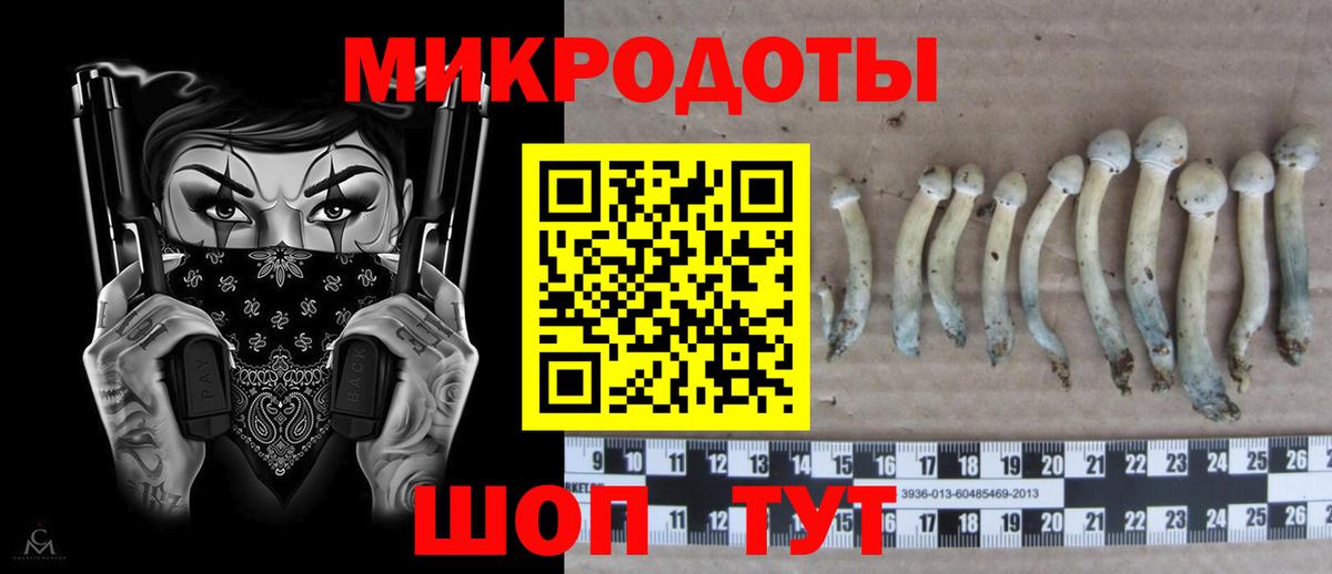 Галлюциногенные грибы Psilocybine cubensis  как найти   Тосно  Вход с VPN 